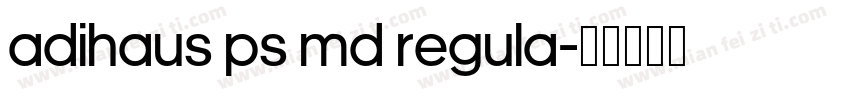 AdiHaus PS Md Regula字体转换